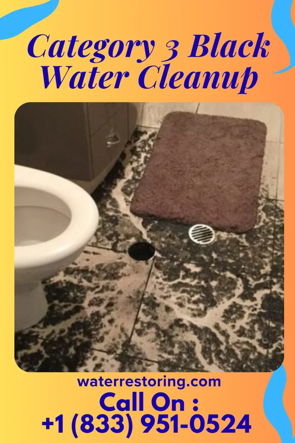 Category 3 Black Water Cleanup in Harrison, NY