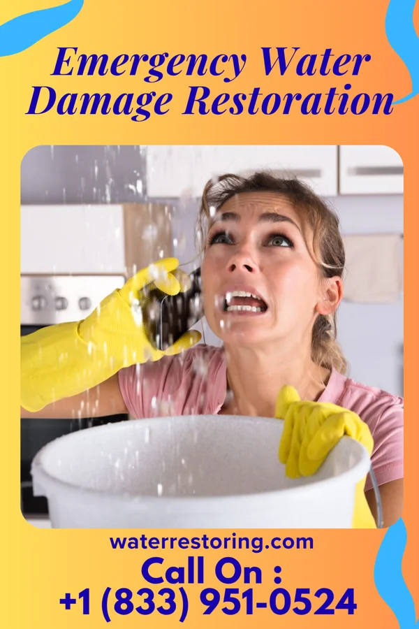 Emergency Water Damage Restoration in Harrison, NY