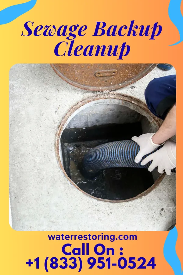 Sewage Backup Cleanup in Harrison, NY